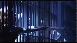 Cell Block Tango  Chicago [upl. by Wood]