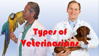 Types of Veterinarians 6 different types of Veterinarians [upl. by Ayaet980]