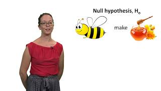 Null and alternative hypotheses with Lindsey Leach [upl. by Cocke]