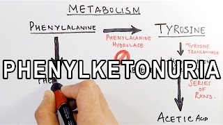 Phenylketonuria  Biochemistry amp Genetics [upl. by Johnson]