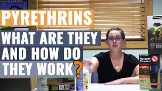 Pyrethrins  What are They and How do They Work [upl. by Gayel]