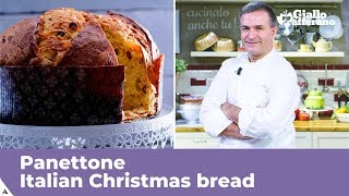 PANETTONE Italian Christmas bread traditional recipe [upl. by Neetsirhc]