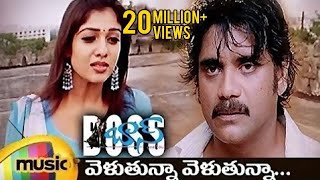 Boss I Love You Songs  Velutunna Velutunna Full Telugu Song  Nagarjuna  Nayanthara  Sunitha [upl. by Timoteo]