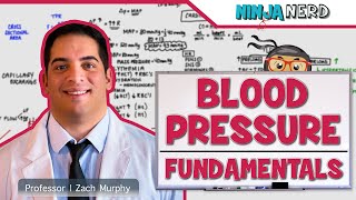 Cardiovascular  Fundamentals of Blood Pressure [upl. by Latihs]