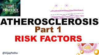 ATHEROSCLEROSIS part 1 Definition epidemiology amp Risk factors [upl. by Yrffoeg865]