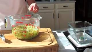 How to triple the sulforaphane content in broccoli sprouts [upl. by Fotina]