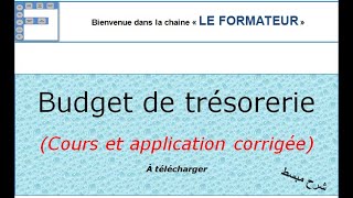 Budget de trésorerie cours simplifié [upl. by Liw]