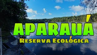 Aparauá Ecoaventura [upl. by Barrus]