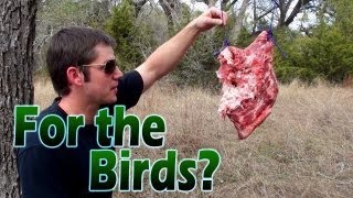 Bird Shot vs Meat Home Defense Shotgun [upl. by Gwenora]