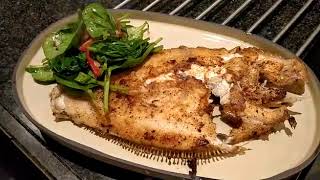 Fresh Wild Turbot Fish  How to Fillet Turbot [upl. by Eirrotal]