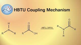 HBTU DIPEA Peptide Coupling Mechanism  Organic Chemistry [upl. by Ashien]