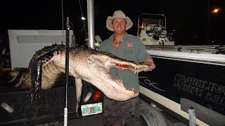 Epic Alligator hunt on Lake Kissimmee [upl. by Gosney]