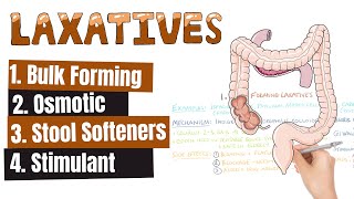 LAXATIVES What Are The Different Kinds of Laxatives When To Use Different Kinds of Laxatives [upl. by Zubkoff87]