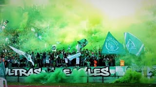 ULTRAS OF RAJA CASABLANCA SINGING FOR PALESTINE With Translation [upl. by Oba]