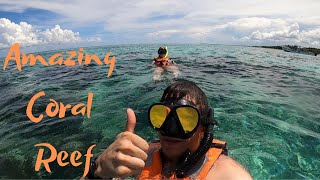 Snorkeling in Cancun Mexico  The Mesoamerican Reef  Excursions In Cancun Mexico [upl. by Sirraj189]