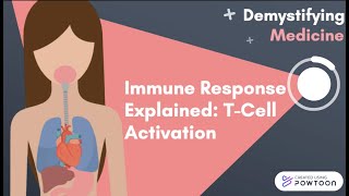 Immune Response Explained TCell Activation [upl. by Slaohcin620]