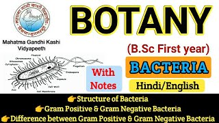 BSC First Year Botany  Botany First PaperStructure of BacteriaGram Ve amp Gram Ve Bacteria [upl. by Baird922]