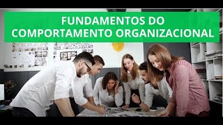 Fundamentos do Comportamento Organizacional [upl. by Noelyn]