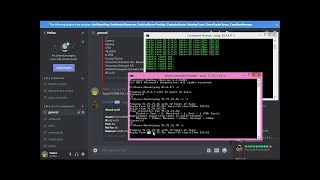 Discord DDoS Bot Showcase  2020 [upl. by Editha263]