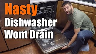 Easy Fix For Dishwasher That Wont Drain  THE HANDYMAN [upl. by Herbie775]