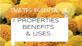 Tagetes Essential Oil  Benefits amp Uses [upl. by Yenhoj]