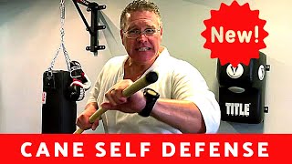 How To Defend Yourself With A Cane For Beginners [upl. by Oscar192]