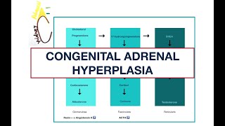 Congenital Adrenal Hyperplasia Adrenal enzyme deficiencies  MCQs  USMLE [upl. by Kristen]