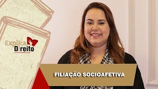 Explica Direito Filiação Socioafetiva  2019 [upl. by Zasuwa]