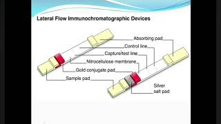 Guide to Immunochromatographic Assay [upl. by Asus]