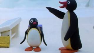 Pingu S02e02 Pingus Admirer [upl. by Laitselec]