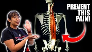 3 Exercises You Can Do To Prevent Erector Spinal Tightness [upl. by Allesiram]