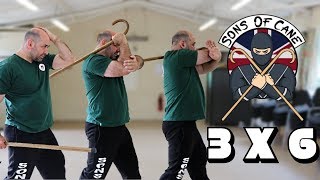 The 3 x 6 Stance Walking cane self defense CaneMasters techniques [upl. by Greerson]