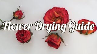 How to Dry Flowers 4 Methods [upl. by Pelagia]