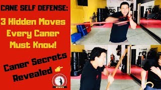 Cane Self Defense 3 Hidden Moves Every Caner Must Know [upl. by Yrelle302]