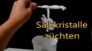 Salzkristalle zuhause selber züchten [upl. by Llerrehs]