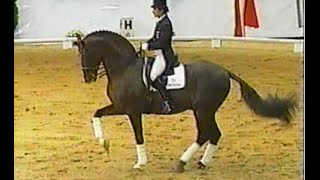 Donnerhall  Legendary oldenburg stallion Damon Hill Digby Donnperignon [upl. by Petronia]