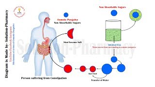 Constipation Mechanism of Action of Osmotic Purgative  Osmotic Purgative  Constipation  Laxative [upl. by Mahmud]