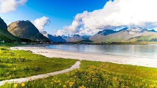 Uplifting Music  light positive happy music Gullrosøya  1 hour [upl. by Aztilay]