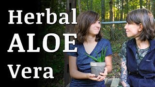 ALOE VERA Plant Medicinal Uses [upl. by Paradies]