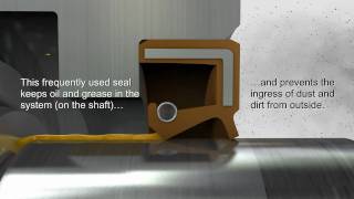 Shaft Seals amp Rotary Seals — Trelleborg Sealing Solutions [upl. by Orbadiah148]