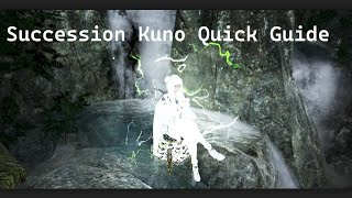 Succession Kunoichi Quick Start PvP Guide [upl. by Anirpas837]