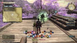 Final Fantasy XIV Shadowbringers Lakeland Aether Current Locations [upl. by Atinehc]