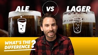 Ale vs Lager Beer — Whats the Difference [upl. by Sirk]