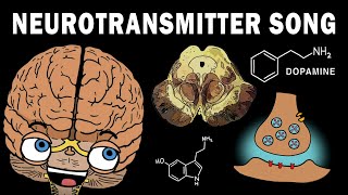 THE NEUROTRANSMITTER SONG [upl. by Nnoryt585]