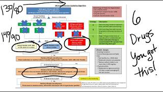 ACCAHA Hypertension GuidelinesAPRN NP Prep [upl. by Eleik842]