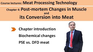 C401 postmortem changes in muscle Meat Technology [upl. by Dennet]