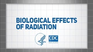 Biological Effects of Radiation [upl. by Ahsemot]