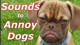 Sounds To Annoy Dogs [upl. by Bull]