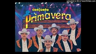 Conjunto Primavera  Corridos PaPistear Agusto🍻🎶🔥 [upl. by Nilra]