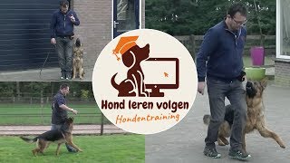 Hond leren volgen [upl. by Seibold]